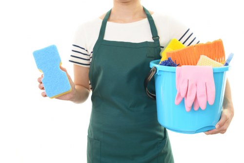 Cleaning professional preparing safe deep cleaning equipment
