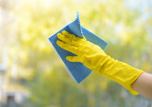 Professional upholstery cleaning service for sofas in Islington homes