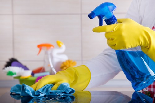 Deep cleaning in Islington home interior refresh