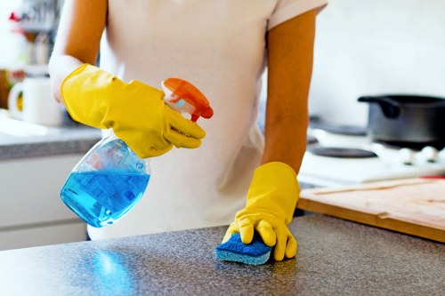 Detailed floor, carpet and upholstery cleaning
