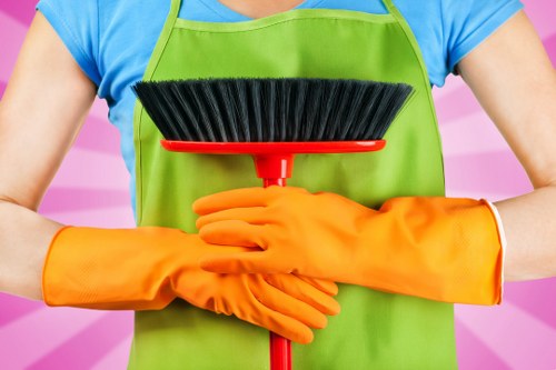 Stain removal and carpet care in an Islington flat