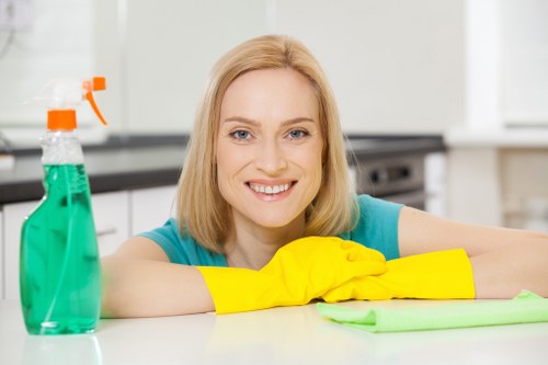 Professional oven cleaning service in an Islington home kitchen