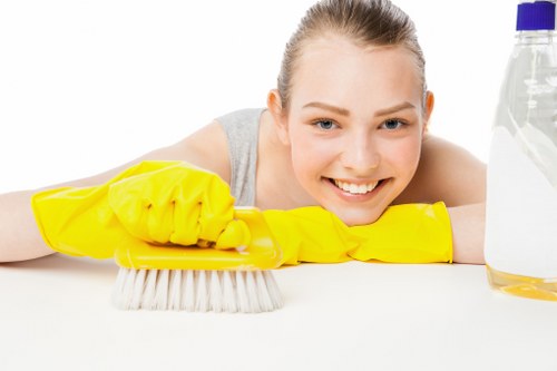 Cleaning team preparing a property for a deep cleaning service