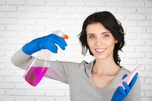Local cleaner refreshing a period home in Islington