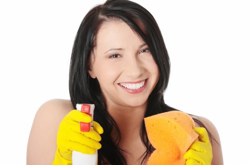 Domestic cleaner dusting and vacuuming in an Islington home
